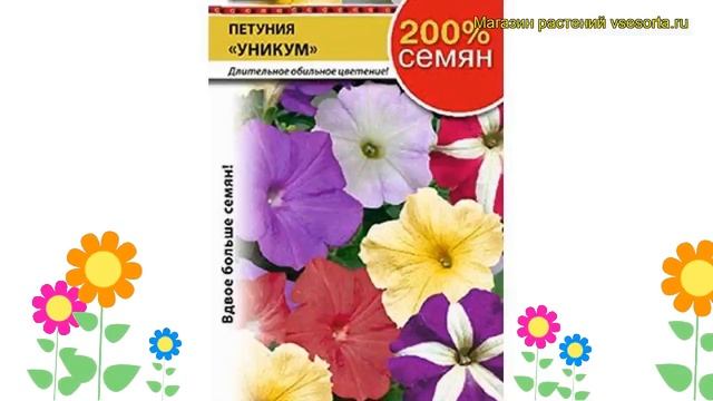 Петуния крупноцветковая Уникум F1. Краткий обзор, описание характеристик petunia hybrida смотреть онлайн