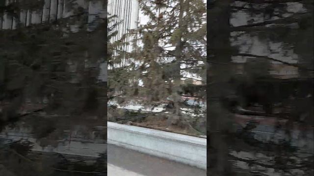 Екатеринбург: по улицам города 18 марта 2023 смотреть онлайн