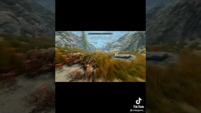 Skyrim секретное место