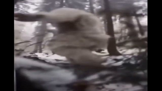 goofy yeti falls смотреть онлайн