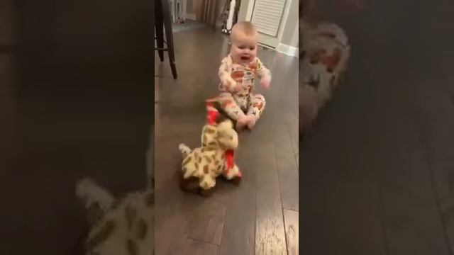 336506802_228368022994078_9146938803526700865_n