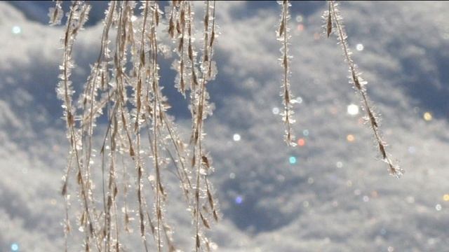 Послание на каждый день. Карта 26 смотреть онлайн