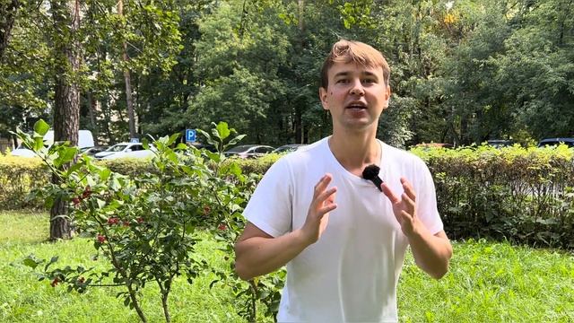 САМОЕ ТОКСИЧНОЕ РАСТЕНИЕ НА УЧАСТКЕ / САДОВОДЫ БУДЬТЕ ОСТОРОЖНЫ / смотреть онлайн