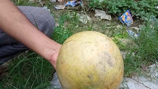 Trying to cut wood apple by knife | Fruits Cutting skills смотреть онлайн