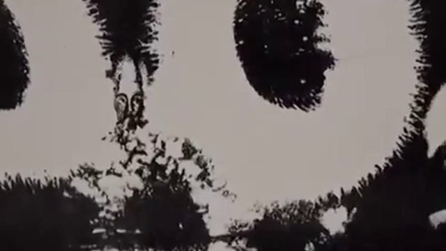 СОФИЯ БЛАНК .Окно в Невидимый Мир .Часть 2 . смотреть онлайн