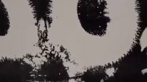 СОФИЯ БЛАНК .Окно в Невидимый Мир .Часть 2 .