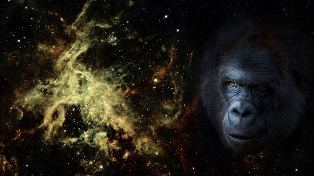 ОБЕЗЬЯНА - ПОДРОБНЫЙ ВОСТОЧНЫЙ ГОРОСКОП 2023 смотреть онлайн