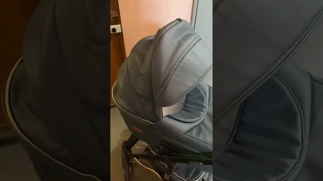 Детская коляска Ray Ultra Gold 2 в 1 смотреть онлайн