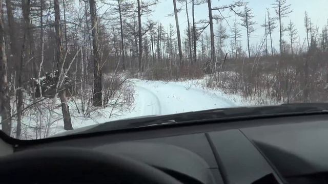 Зима, а Мишка на дереве . смотреть онлайн