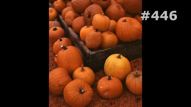 #446. Фрукты и ягоды (Еда и напитки) смотреть онлайн