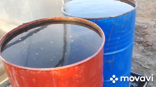 Что посадить в теплицу в апреле? смотреть онлайн