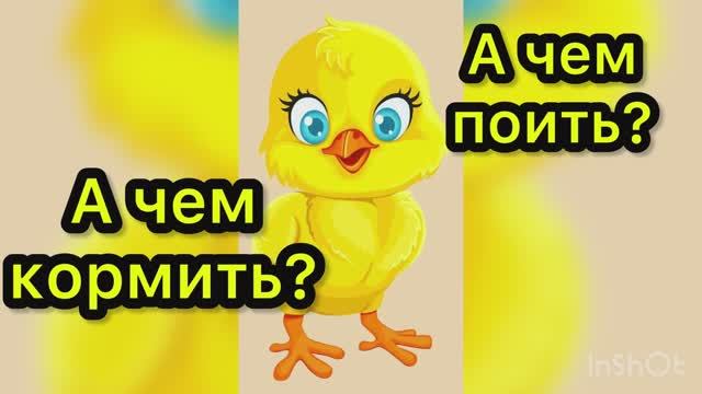 Перепелятам 3-4 дня смотреть онлайн