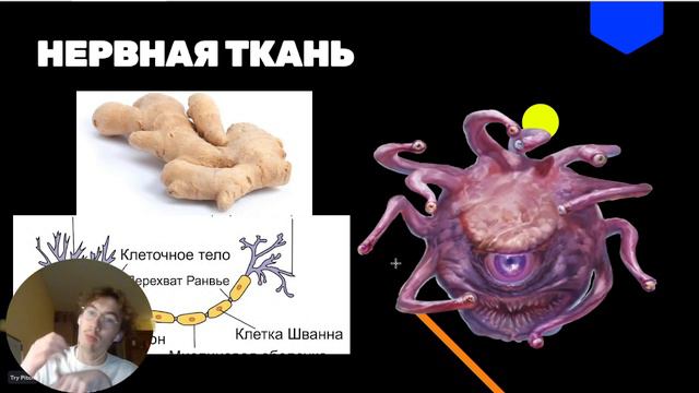 3 темы меньше чем за 9 минут смотреть онлайн