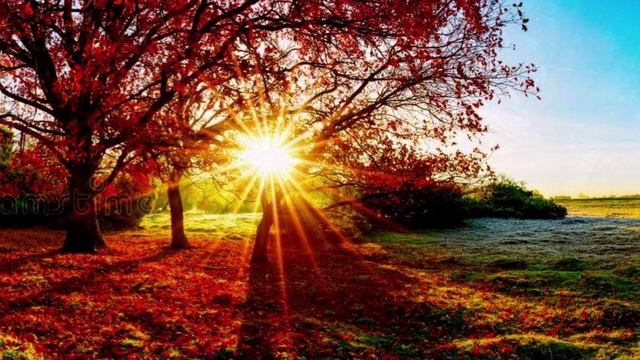 Духовное начало в серые будни.