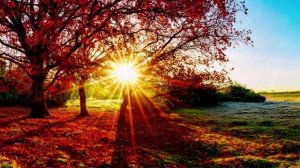 Духовное начало в серые будни.