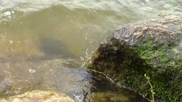 Canon Legria HF R506 Wind und Wasser Testvideo (Deutsch) смотреть онлайн