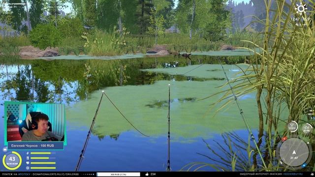 оз. Старый Острог • Карп и Амуры • Driler -  Русская Рыбалка 4