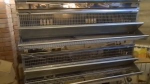 Купили клетки для перепелов. Первое впечатление.