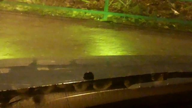 Ксенон 6000к через желтое стекло светит зеленоваты смотреть онлайн