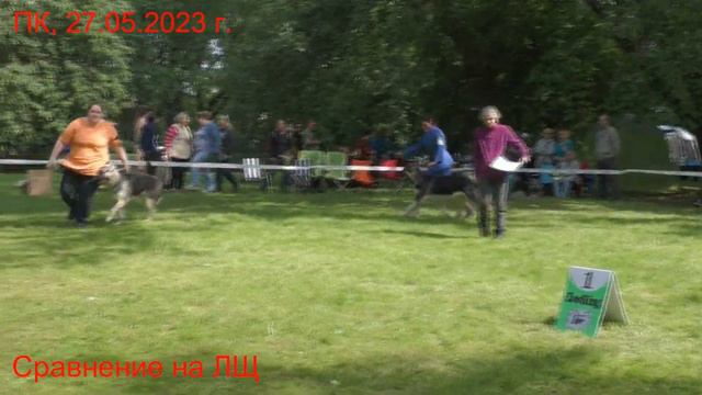 Сравнение на ЛЩ смотреть онлайн