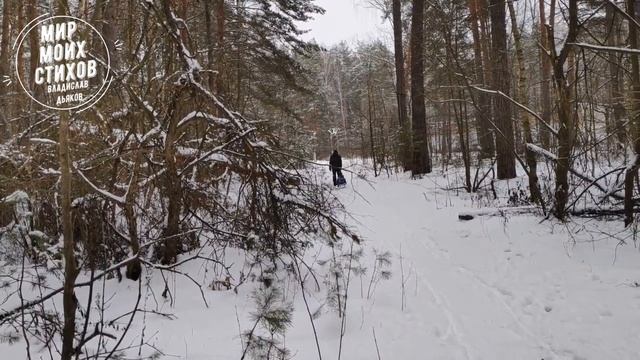 Февраль високосного года. Авторские стихи. Современная поэзия. смотреть онлайн