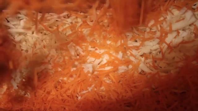 Квашеная капуста на зиму смотреть онлайн