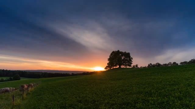 relaxing Violin music for sleeping and studying смотреть онлайн