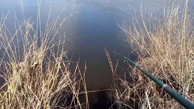 Рыбалка на краснопёрку!
Рыбалка на поплавок! смотреть онлайн