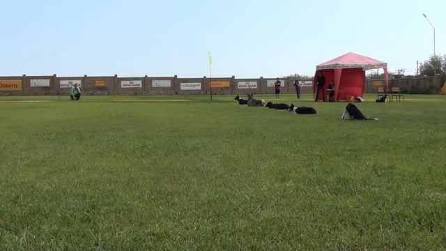 Выдержка, Обидиенс 1. 2-я группа смотреть онлайн