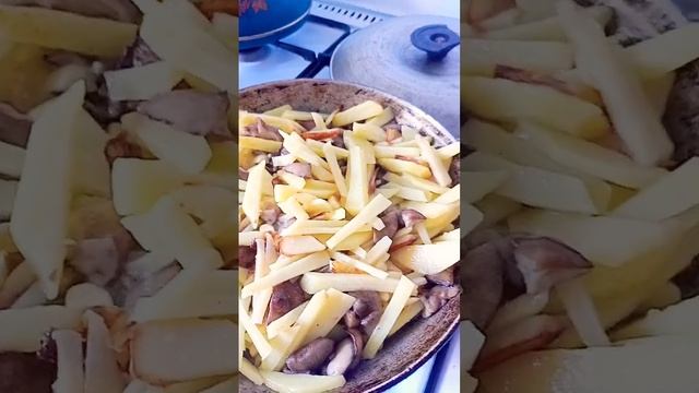 Грибы: заботливые хранители леса