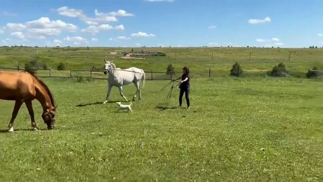 Гимнастика. Движение. Вид снаружи смотреть онлайн