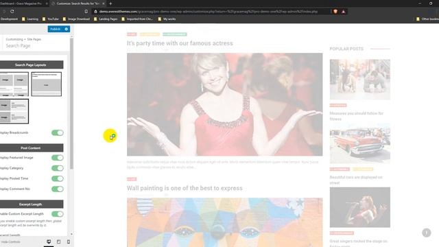 Search Page Options Settings for GraceMag WordPress Theme смотреть онлайн