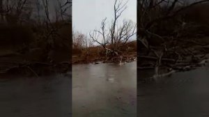 Рыбалка в Тульской области. Деревня Щучье река Осётр.