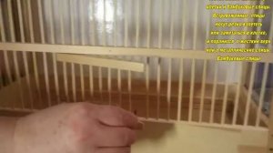 клетка для птиц с мягким верхом