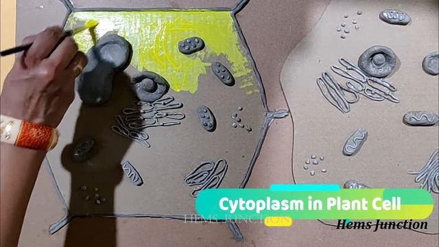How to make Plant Cell Model & Animal Cell Model for Science Fair/School Project смотреть онлайн