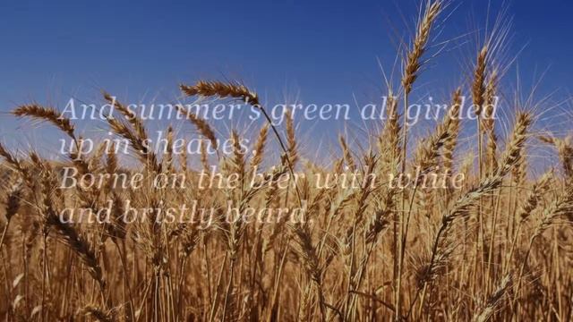 Sonnet 12 смотреть онлайн