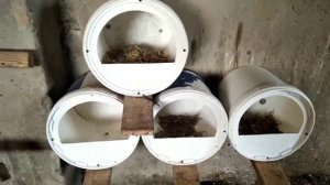 Гнёзда для кур из пластиковых вёдер.