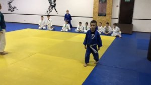 Сдача на желтый пояс по дзюдо | 5КЮ | Квалификационные требования