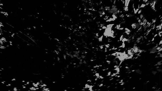 adivashi horror film,,, Dip, ronjit,, rajesh,, somaru,, Hiren,, jiten ,, adivashi horror movies смотреть онлайн