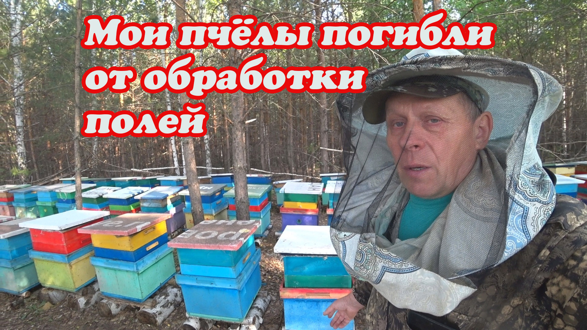 СЛУЧИЛАСЬ БЕДА НА МОЁМ ТОЧКЕ, ОТРАВИЛИ ПЧЁЛ, ЧТО ТЕПЕРЬ ДЕЛАТЬ ПРОСТОМУ ПЧЕЛОВОДУ. смотреть онлайн