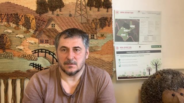 Умный запас. Простые советы тем кто делает запасы продуктов. смотреть онлайн