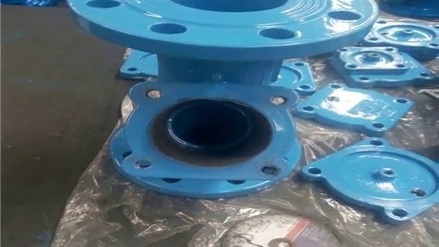 DN100 Y Strainer PN16