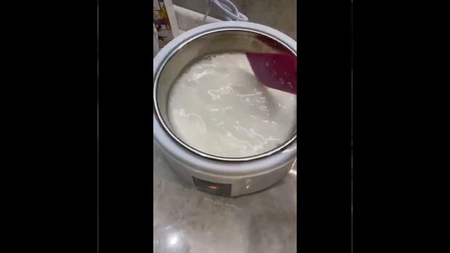 ЙОГУРТНИЦА YOGHURT MAKER ESSENS