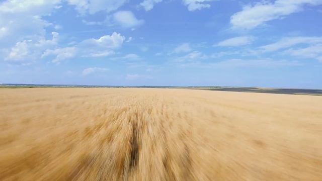 FPV#9 FEARLESS смотреть онлайн