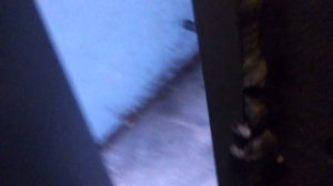 ВЗЛОМ ДОМОФОНА ВИЗИТ БВД-М200