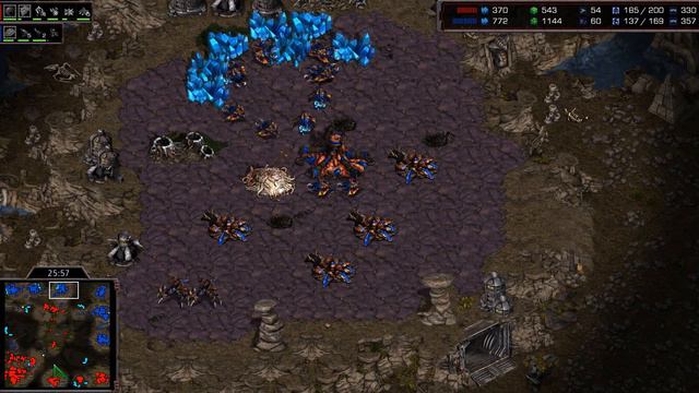 EPIC - Bisu (P) vs Larva (Z) on Polypoid - StarCraft - Brood War смотреть онлайн