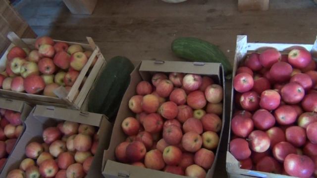 ЧТО МЫ ЗАПАСЛИ НА ЗИМУ (секреты счастья Светланы Ермаковой) смотреть онлайн