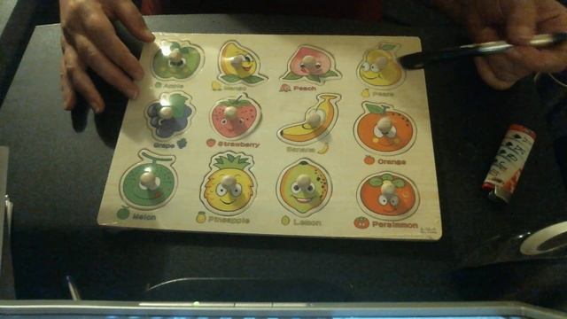 WELLSKEY Wooden Peg Puzzles