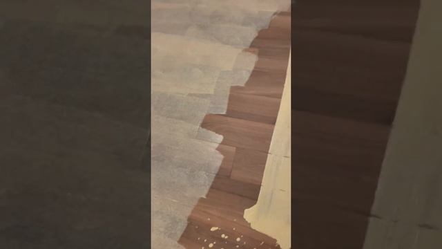 Egaliseerspecialist.nl