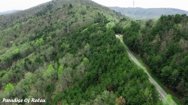 музыка для нервной системы релакс музыка для массажа, лечебная музыка для сердца и сосудов, Успока смотреть онлайн